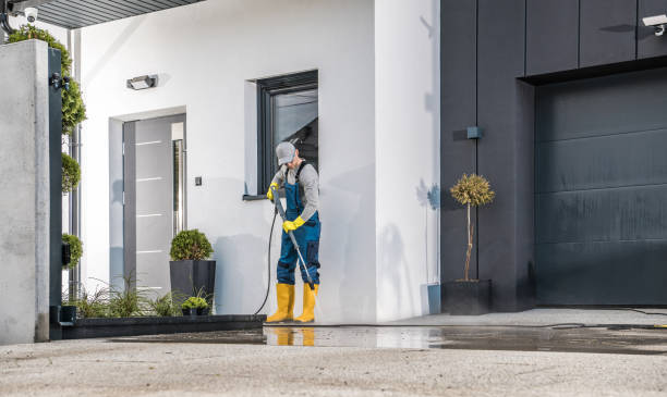 Best Soft Washing  in Califon, NJ